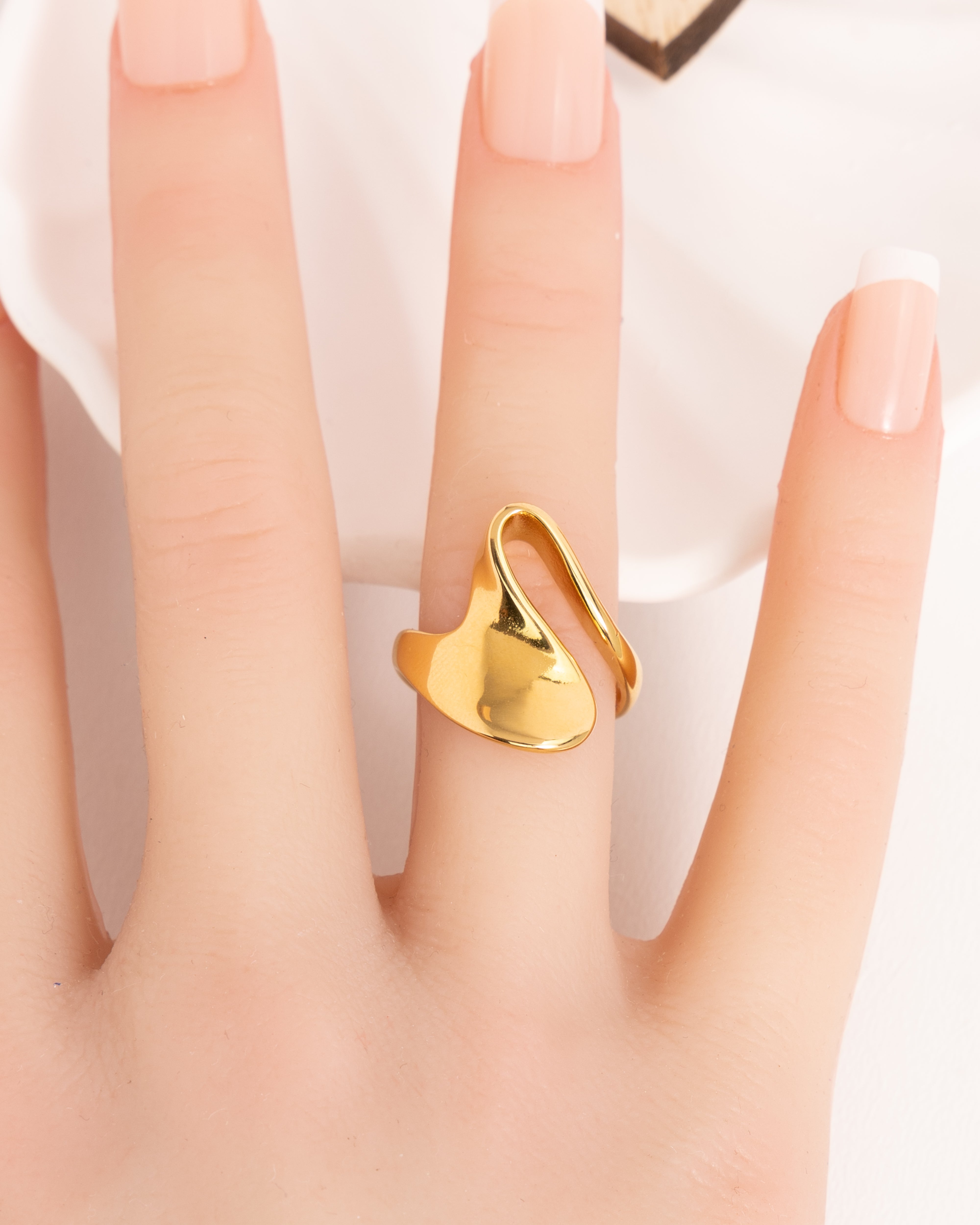 SAYA-Geometrischer Ring